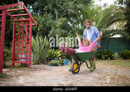 Happy senior man carrying woman in brouette tout en faisant du jardinage à la cour Banque D'Images