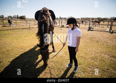 Girl holding les rênes d'un cheval dans le ranch sur une journée ensoleillée Banque D'Images