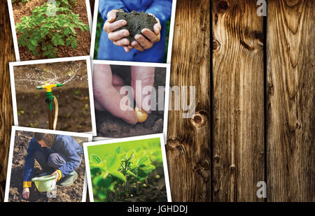 Travaillant dans un potager, photo collage sur fond de bois comme copy space Banque D'Images