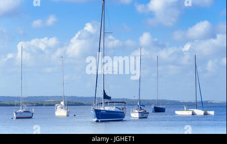 Joao Pessoa, PB, Brésil - 8 décembre 2016 : Photo de Praia do Jacare beach, plusieurs bateaux côte à côte dans le bateau du port. Banque D'Images