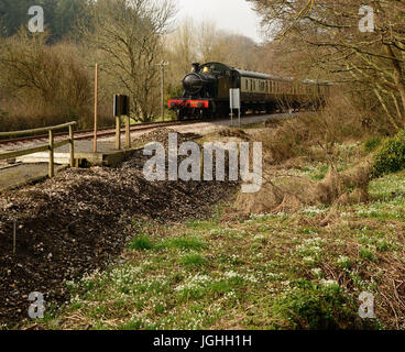 Perce-neige sont en fleurs à côté du South Devon Railway à mettre un terme generique Amplificateur USB / RJ45, comme un train à vapeur, tiré par GWR 4500 class 2-6-2T No 5542. Banque D'Images