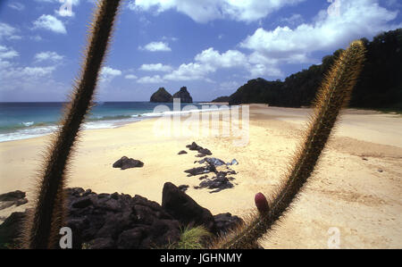 Je vis deux frères , Fernando de Noronha, la plage de chèvre - Brésil Banque D'Images