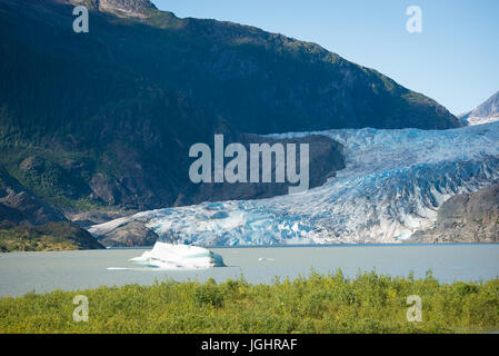 Glacier Mendenhaal en été. Banque D'Images