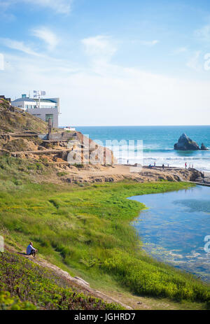 Homme assis sur un terrain herbeux, regardant vers les bains de sutro. Banque D'Images