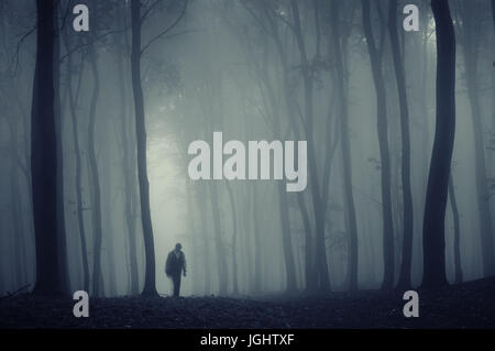 Dans l'ombre dark fantasy forest, scary halloween background Banque D'Images