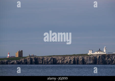 Phare rouge et blanc Longstone derrière la balise plus Brownsman tour sur l'île. Farne intérieur très lumineux à l'avant. Iles Farne, UK. Banque D'Images