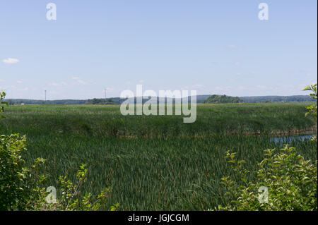 Parker River National Wildlife Refuge, Salt Marsh Banque D'Images