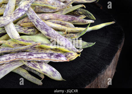 Haricots langue de dragon fraîchement cueillies sur fond de bois noir Banque D'Images