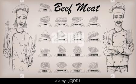 La viande de boeuf couper des parties de la carcasse côtelettes de vache régime graphiques info sign poster les bouchers guide retour cou épaule ; femme et hommes Boucher Cuisinier portrait. Vector Illustration de Vecteur