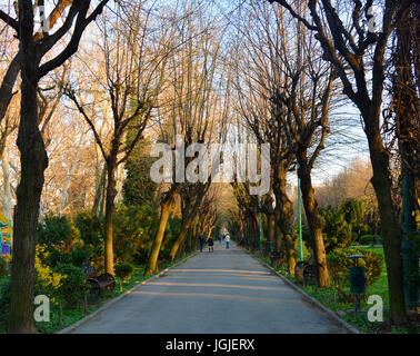 Les ruelles de l'Cismigiu parc au printemps, à Bucarest, Roumanie Banque D'Images