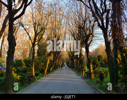 Les ruelles de l'Cismigiu parc au printemps, à Bucarest, Roumanie Banque D'Images