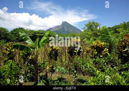 Une vue magnifique du Volcan Concepcion sur Isla Ometepe au Nicaragua Banque D'Images
