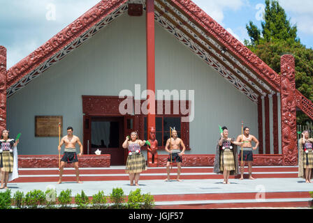 Spectacle Maori Te Puia te réserve thermale de Whakarewarewa Valley New Zealand Banque D'Images