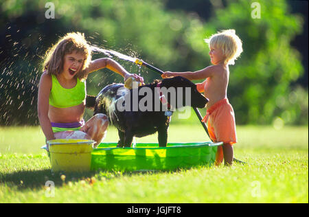 Laver le chien Banque D'Images