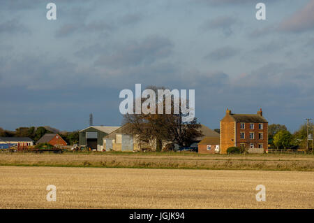 Terrain plat paysage de bâtiments agricoles et de la chambre dans une zone rurale de Baston, Lincolnshire, Angleterre, Royaume-Uni. Banque D'Images