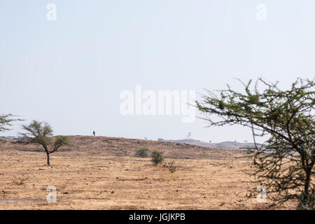 Mayureshwar est un petit sanctuaire de la faune près de Pune qui prend en charge une petite population de l'Ours, la Gazelle indienne indiens et loups. Banque D'Images