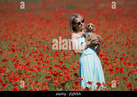 Farningham, Kent, Royaume-Uni. 7 juillet, 2017. Elizabeth Cooper photographiée avec 11 semaines chiot cockapoo Le PIP dans un champ de coquelicots à Farningham, Kent, aujourd'hui. Rob Powell/Alamy Live News Banque D'Images