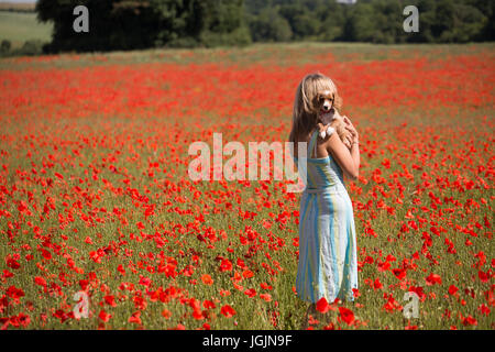 Farningham, Kent, Royaume-Uni. 7 juillet, 2017. Elizabeth Cooper photographiée avec 11 semaines chiot cockapoo Le PIP dans un champ de coquelicots à Farningham, Kent, aujourd'hui. Rob Powell/Alamy Live News Banque D'Images