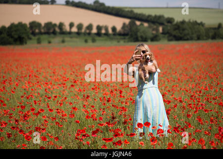 Farningham, Kent, Royaume-Uni. 7 juillet, 2017. Elizabeth Cooper photographiée avec 11 semaines chiot cockapoo Le PIP dans un champ de coquelicots à Farningham, Kent, aujourd'hui. Rob Powell/Alamy Live News Banque D'Images