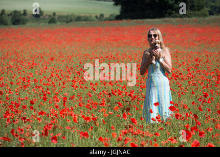 Farningham, Kent, Royaume-Uni. 7 juillet, 2017. Elizabeth Cooper photographiée avec 11 semaines chiot cockapoo Le PIP dans un champ de coquelicots à Farningham, Kent, aujourd'hui. Rob Powell/Alamy Live News Banque D'Images