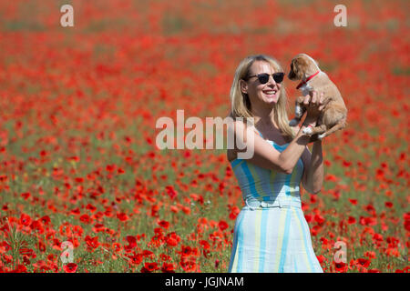 Farningham, Kent, Royaume-Uni. 7 juillet, 2017. Elizabeth Cooper photographiée avec 11 semaines chiot cockapoo Le PIP dans un champ de coquelicots à Farningham, Kent, aujourd'hui. Rob Powell/Alamy Live News Banque D'Images