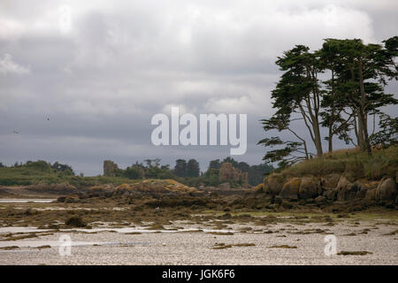 D'entrée d'un quartier calme sur la côte orientale de l'île de Bréhat à marée basse : Côtes-d'Armor, Bretagne, France Banque D'Images