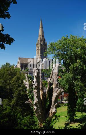 St Michaels & tous les Anges' Church. Exeter, Devon, UK. Juillet, 2017. Banque D'Images