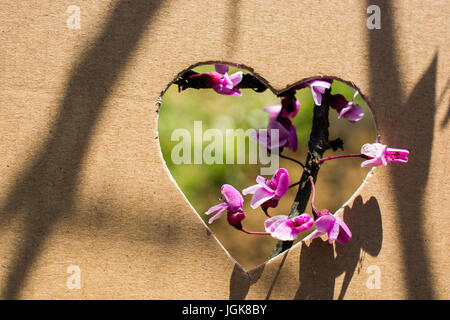 Vu à travers les fleurs coupées en forme de coeur en carton Banque D'Images