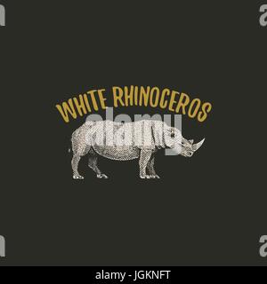 Rhinocéros blanc gravé à la main dans de vieux croquis, style vintage animaux. logo ou emblèmes, étiquette rétro et d'un insigne. Illustration de Vecteur