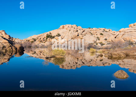Un point d'eau dans la région de Joshua Tree National Park, California, USA Banque D'Images