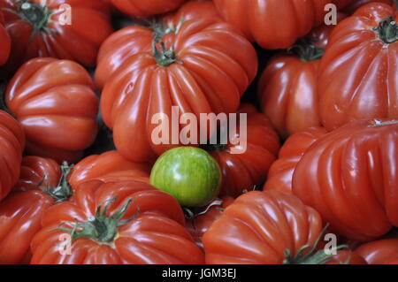 Close up pile de rouge frais, tomates mûres avec une seule tomate verte au milieu Banque D'Images