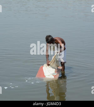 Agra, Inde - Jul 13, 2015. L'homme indien lave-linge sur le sable au bord de la rivière Yamuna, Agra, Inde. Banque D'Images