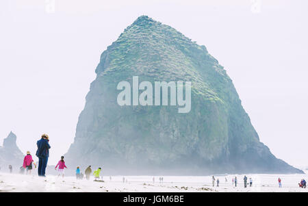 Journée de brouillard à Haystack Rock Banque D'Images