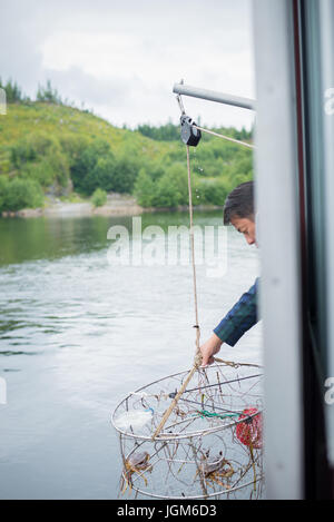 Crabes piéger sur un bateau en train d'être tiré pour voir le transport Banque D'Images