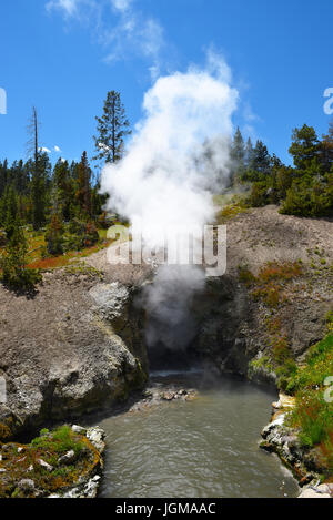 Bouche Dragons du printemps, le Parc National de Yellowstone, Wyoming. Banque D'Images