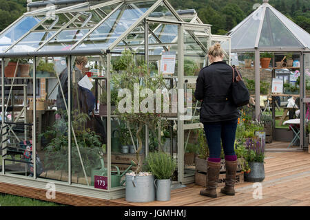 Dame étroitement l'inspection des serres sur l'affichage et à la vente à Rhino tradestand Chatsworth - RHS Flower Show, Chatsworth House, Derbyshire, Angleterre, Royaume-Uni. Banque D'Images