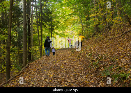 Un homme et trois enfants jouant et marcher sur un chemin couvert de feuilles dans les bois. Banque D'Images