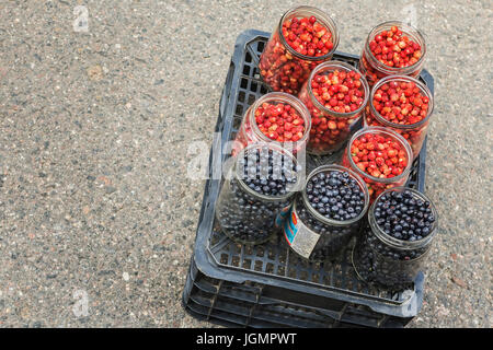 Les bleuets et les fraises dans des bocaux en verre. Banque D'Images