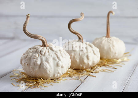 Citrouilles d'Halloween sur bandes blanches Banque D'Images