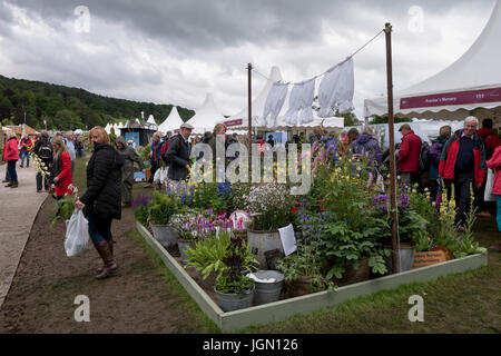 Les gens regarde autour de affiche exposition & achat plantes - Village des plantes, Chatsworth RHS Flower Show showground, Chatsworth House, Derbyshire, Angleterre, Royaume-Uni. Banque D'Images