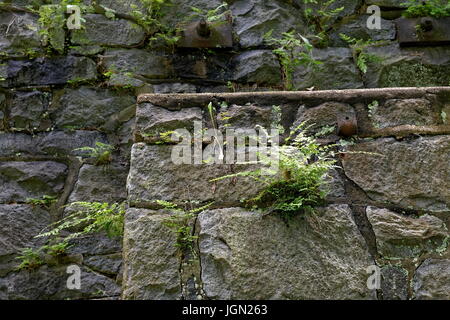 Hagley Museum est le site si E.I. du Pont's gunpowder works fondée en 1802. Banque D'Images