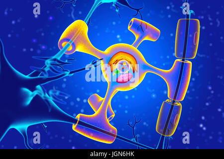 Illustration d'une cellule d'oligodendrocytes (jaune) formant une gaine de myéline autour d'une cellule nerveuse (neurone, axone bleu). Banque D'Images