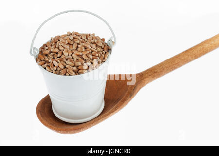 Godet plein de grains de blé se trouve dans une cuillère en bois. Le concept de l'alimentation. Banque D'Images