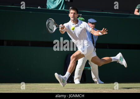 Londres, Royaume-Uni. 8e juillet, 2017. Les Championnats de tennis de Wimbledon 2017 tenue à l'ensemble, au Royaume-Uni. 08 juillet, 2017. Lawn Tennis et croquet Club, Londres, Angleterre, Royaume-Uni. Le simple messieurs - TROISIÈME TOUR Novak Djokovic (SRB) [2] v Ernests Gulbis (LAT) sur le Court central. Sur la photo :- Novak Djokovic. Credit : Duncan Grove/Alamy Live News Banque D'Images