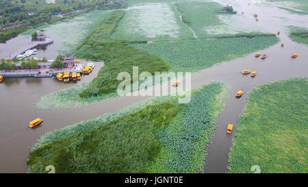 Zhengzhou, Chine, province de Henan. 8 juillet, 2017. Les touristes prendre le bateau pour regarder les fleurs de lotus dans le comté de Huaiyang Longhu Lake dans le centre de la Chine, la province du Henan, le 8 juillet 2017. Credit : Feng Pingyao/Xinhua/Alamy Live News Banque D'Images