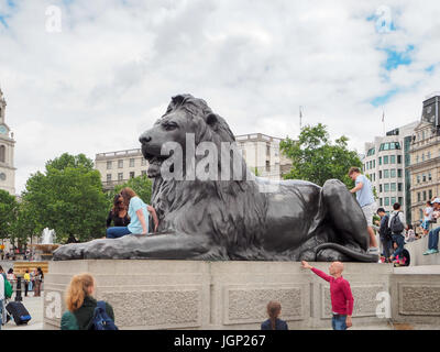 Trafalgar Square, Londres, Angleterre, Royaume-Uni, été 2016 : sculptures Lion [ connu sous le nom de Lions de Landseer ] Banque D'Images