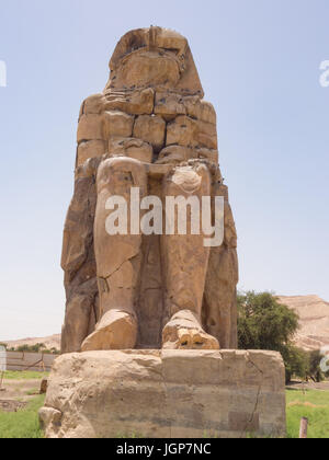 Colosses de Memnon, Luxor, Egypte Banque D'Images