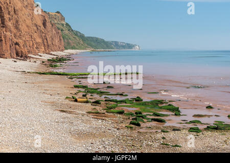 Plage rouge dans Sigmouth, Devon, Angleterre. Banque D'Images