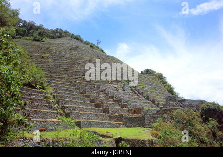 L'Intipata ruines sur le chemin de l'Inca Banque D'Images