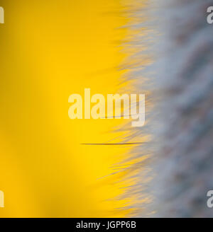 Résumé en jaune et blanc Banque D'Images